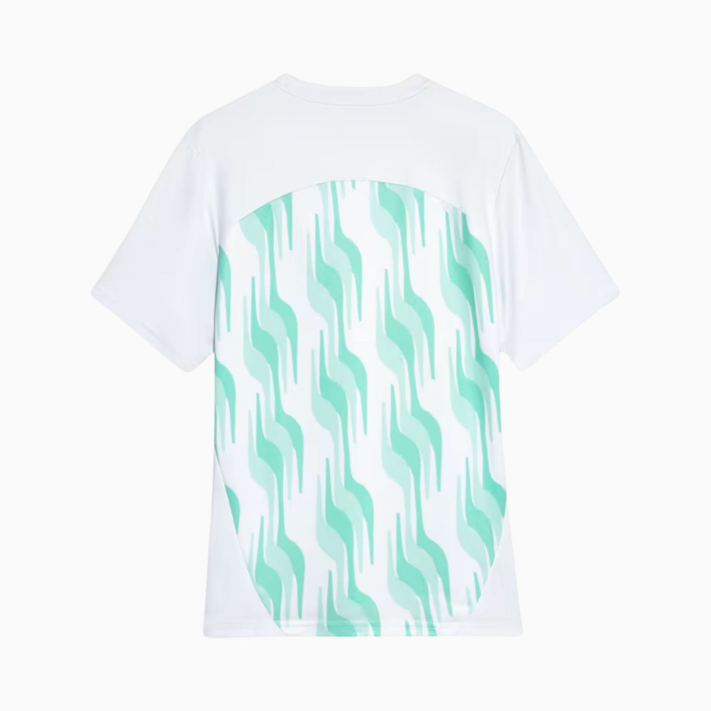 Camisa Torcedor Masculina Palmeiras 2025/2026 Pré-Jogo
