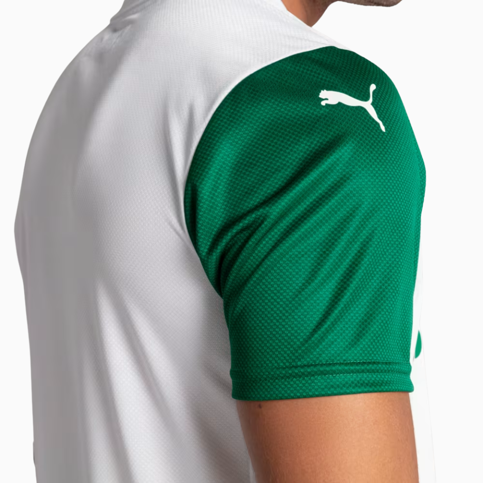 Camisa Jogador Masculina Palmeiras II 2025/2026
