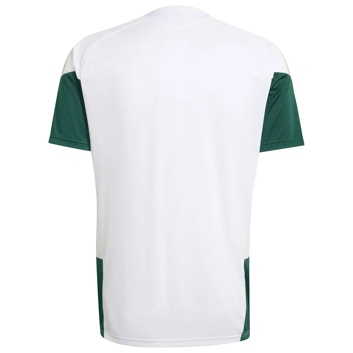 Camisa Treino Masculina Itália 2026