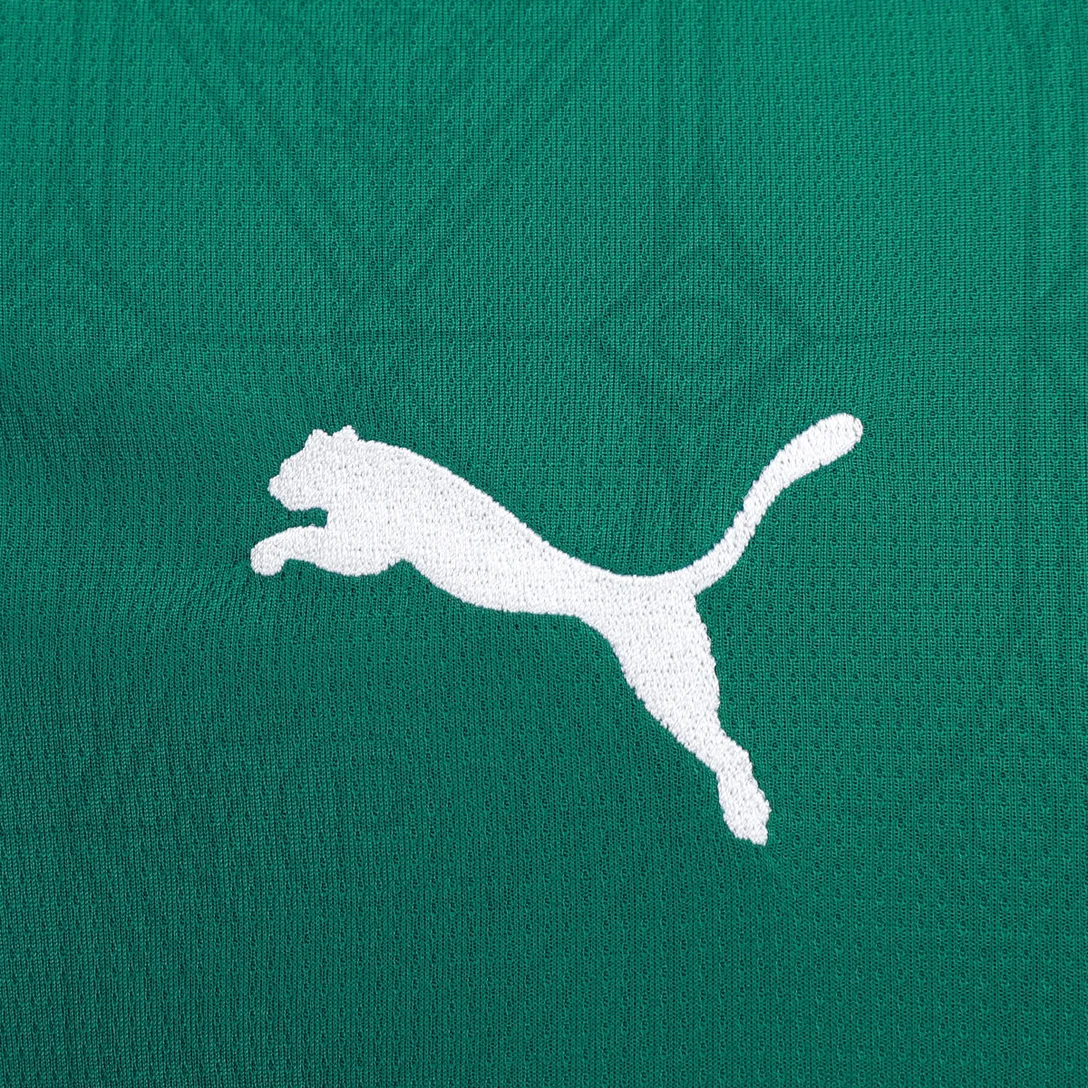 Camisa Palmeiras Home 25/26 - Torcedor Masculina