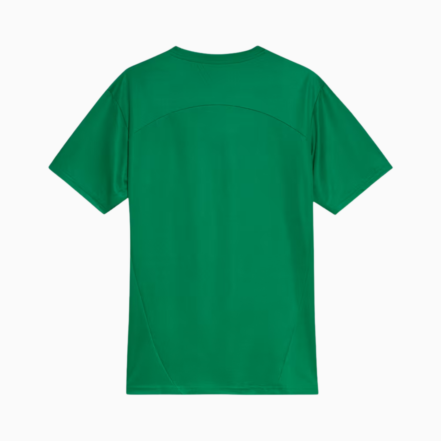 Camisa Treino Masculina Palmeiras 2025/2026