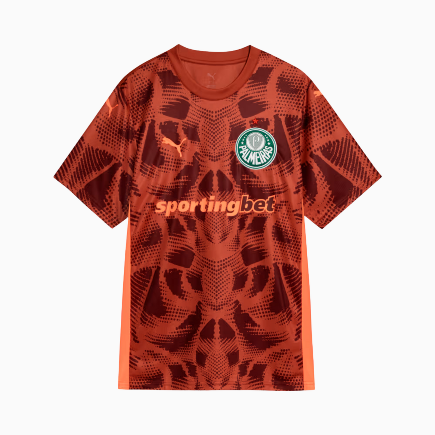 Camisa Goleiro Masculina Palmeiras II 2025/2026