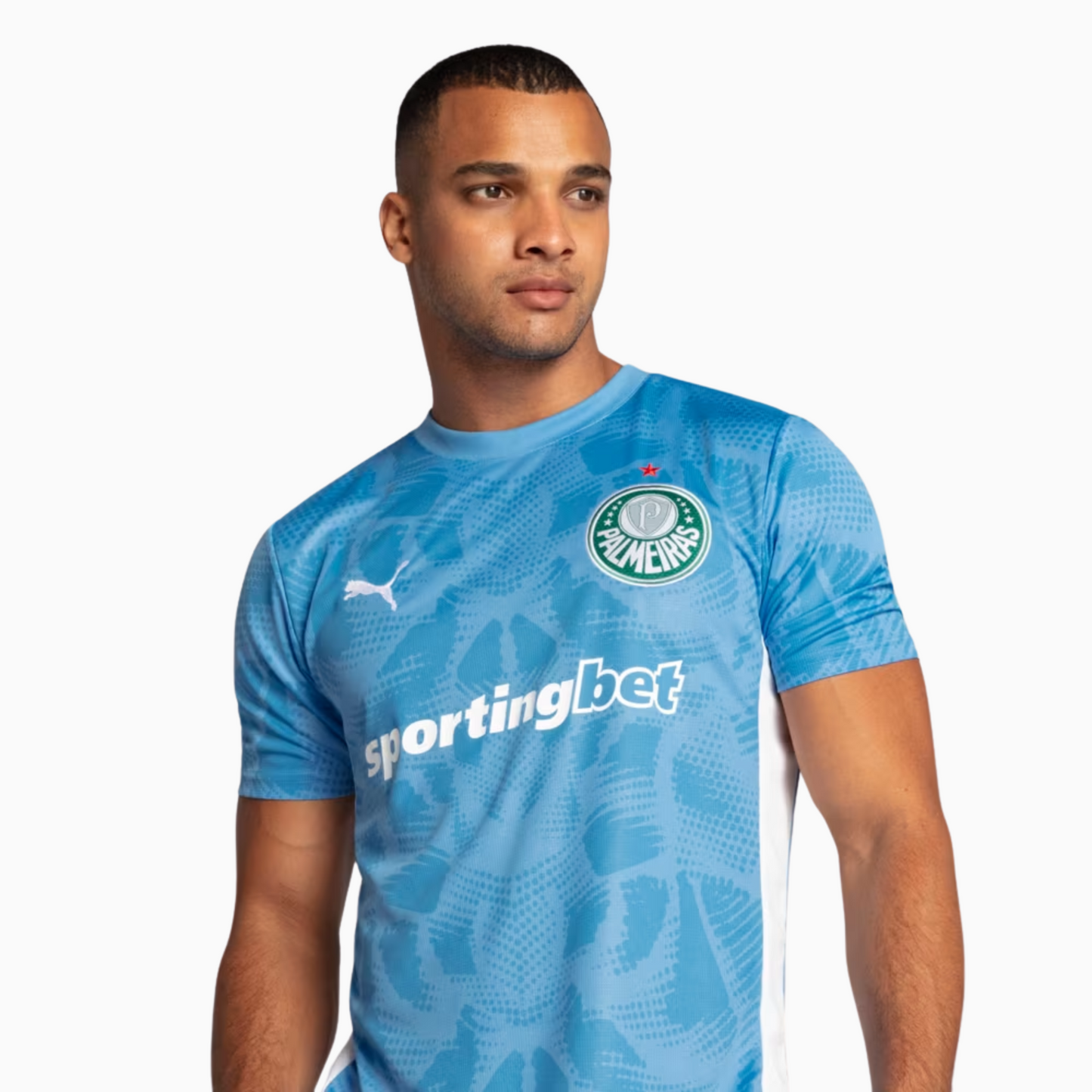 Camisa Goleiro Masculina Palmeiras I 2025/2026