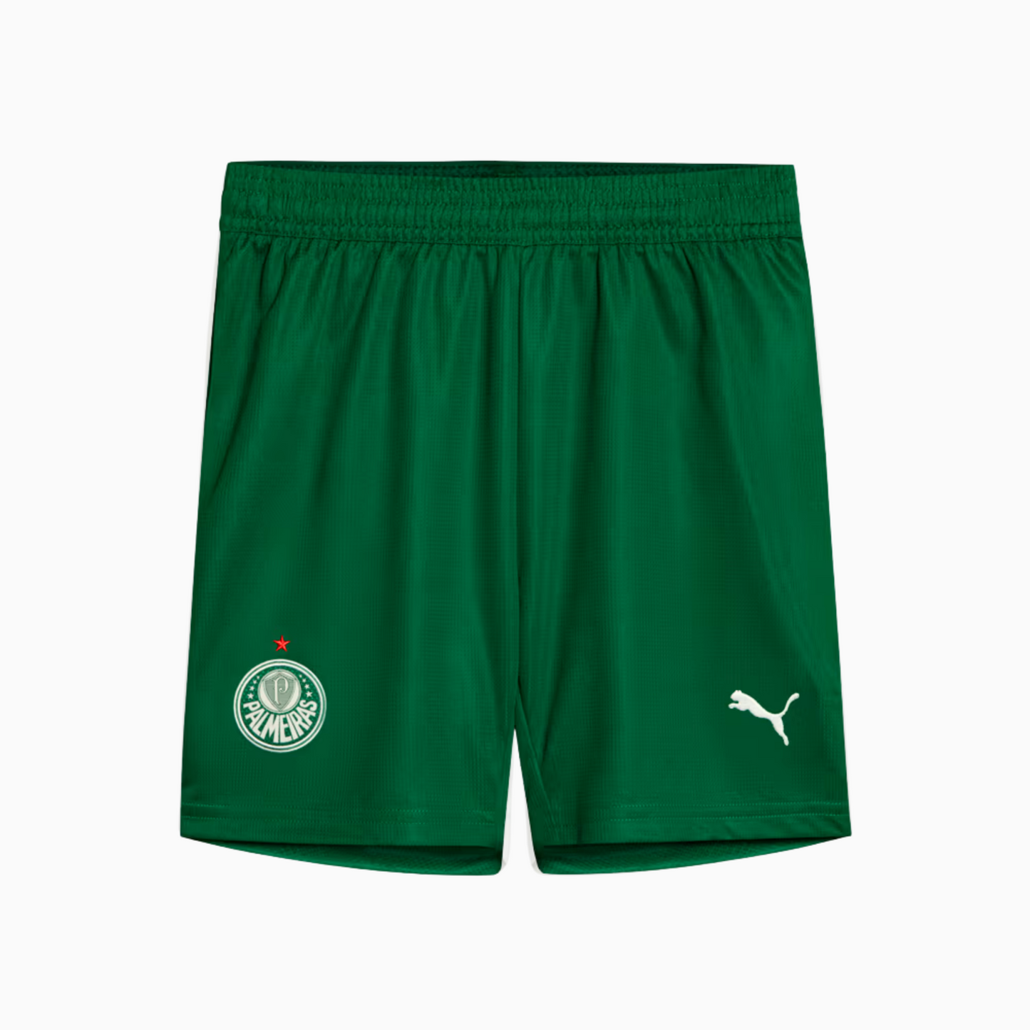 Shorts Masculino Palmeiras II 2025/2026