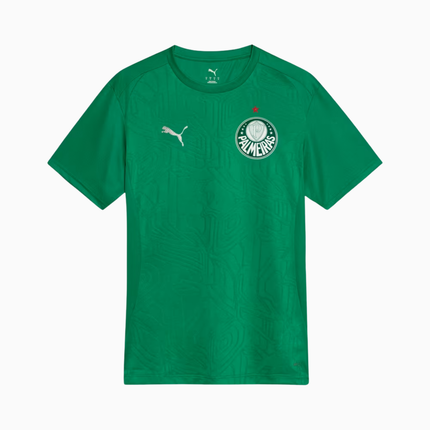 Camisa Treino Masculina Palmeiras 2025/2026