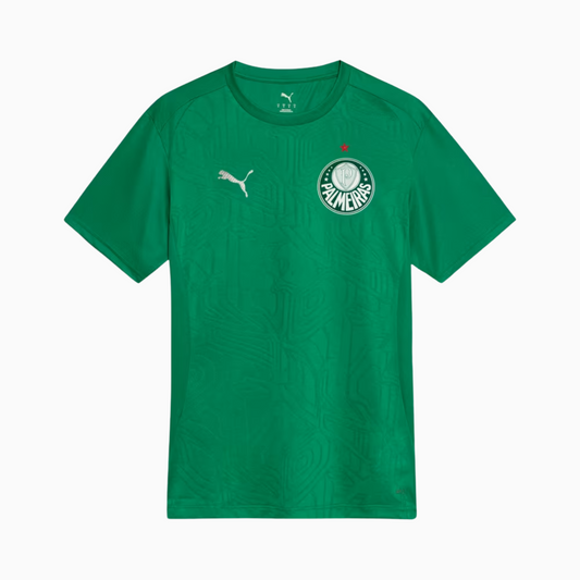 Camisa Treino Masculina Palmeiras 2025/2026