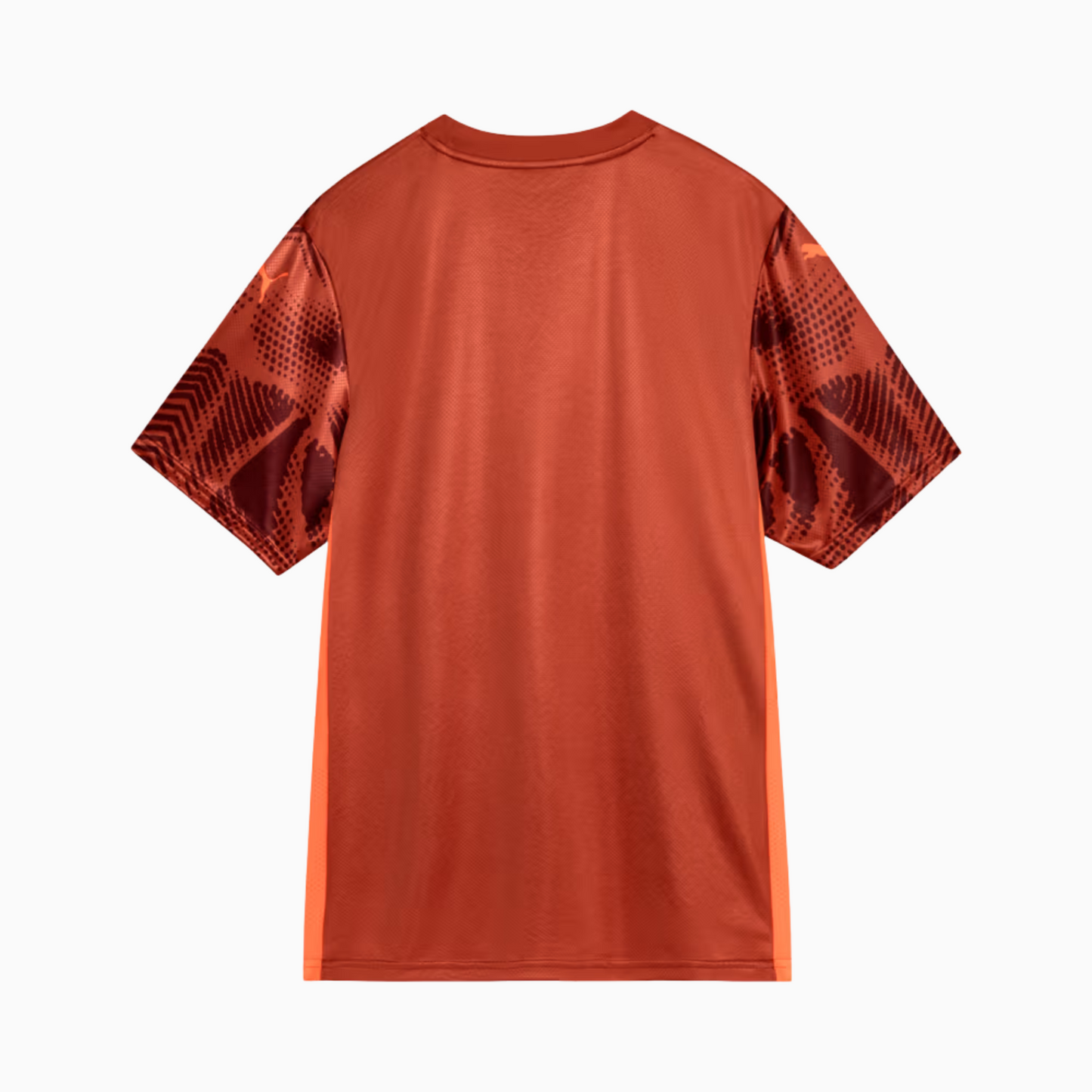 Camisa Goleiro Masculina Palmeiras II 2025/2026