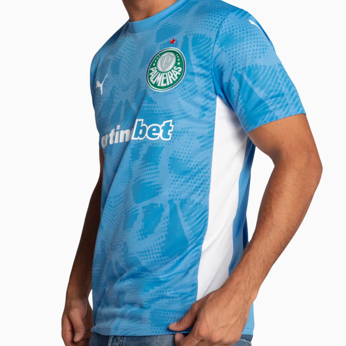 Camisa Goleiro Masculina Palmeiras I 2025/2026