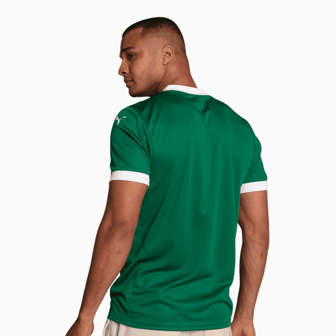 Camisa Torcedor Masculina Palmeiras I 2025/2026
