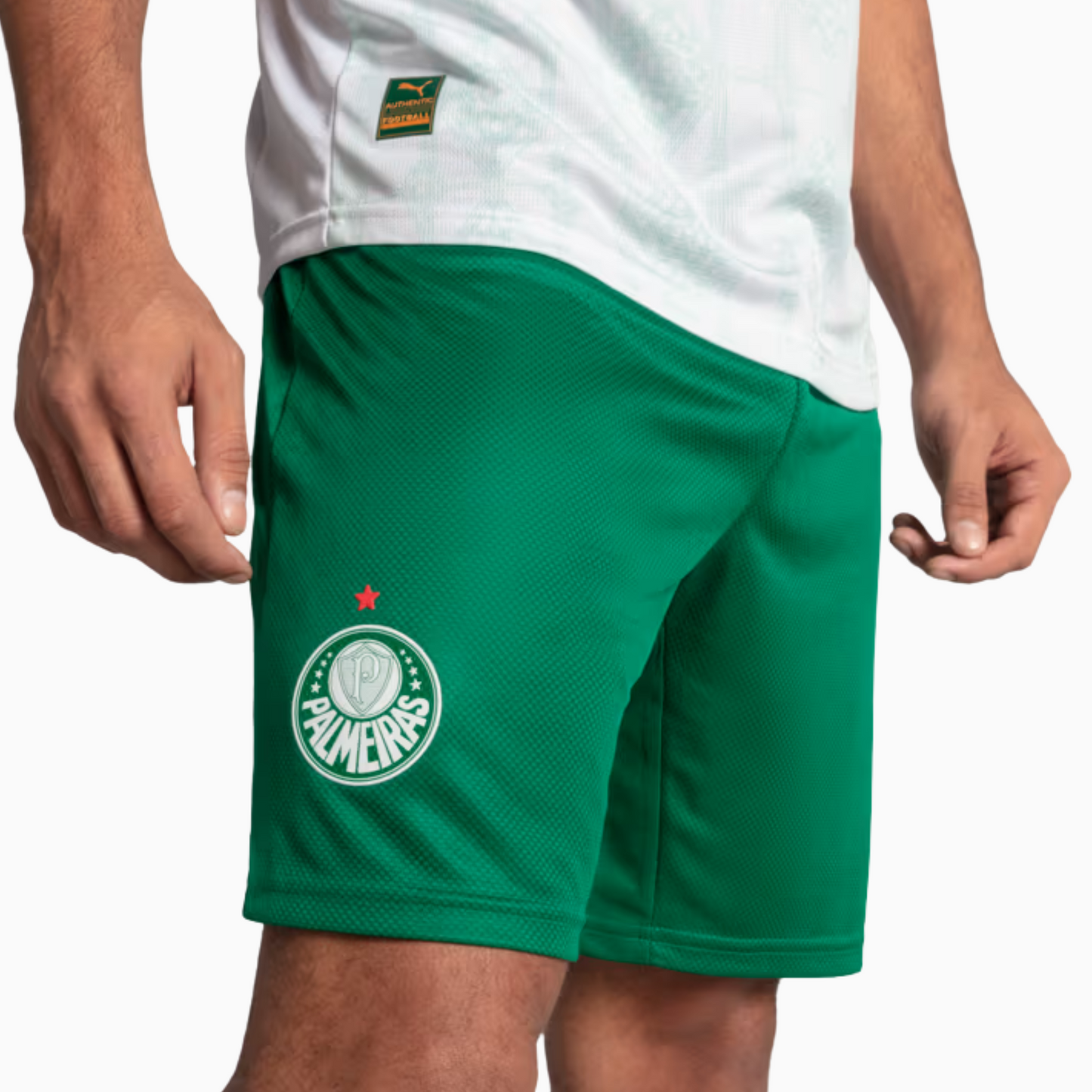 Shorts Masculino Palmeiras II 2025/2026