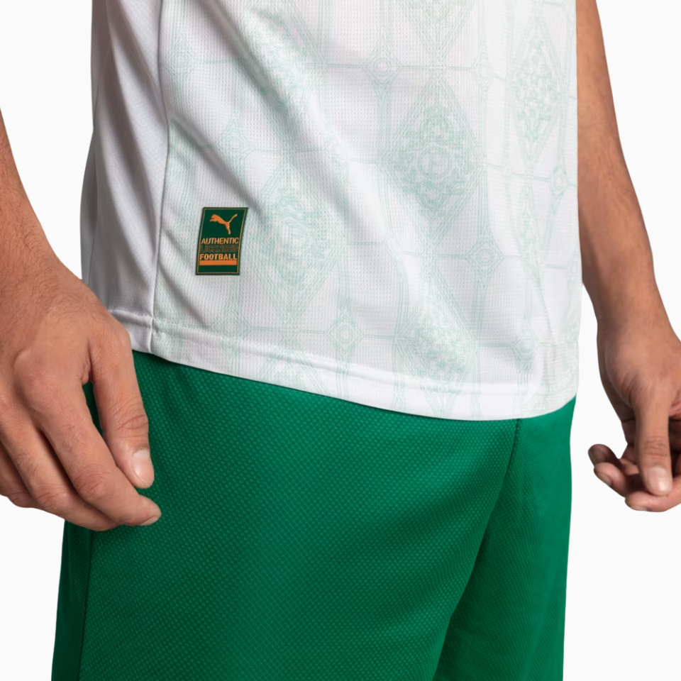 Camisa Jogador Masculina Palmeiras II 2025/2026