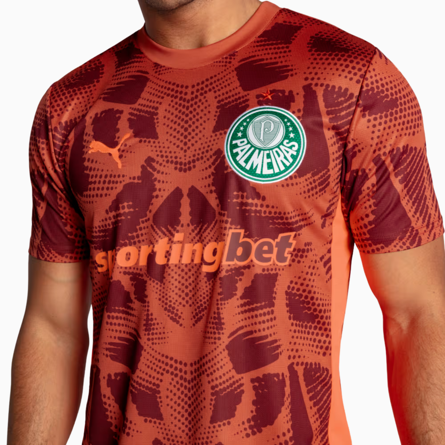 Camisa Goleiro Masculina Palmeiras II 2025/2026