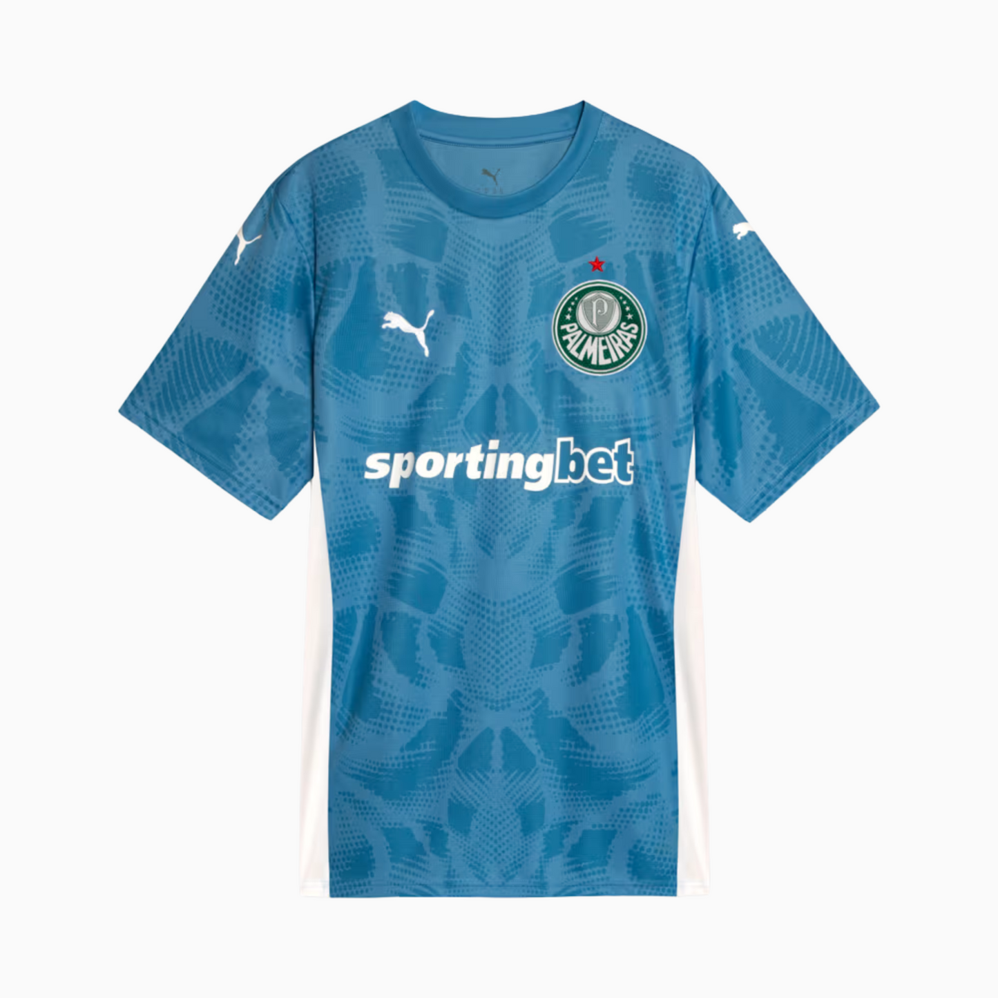 Camisa Goleiro Masculina Palmeiras I 2025/2026