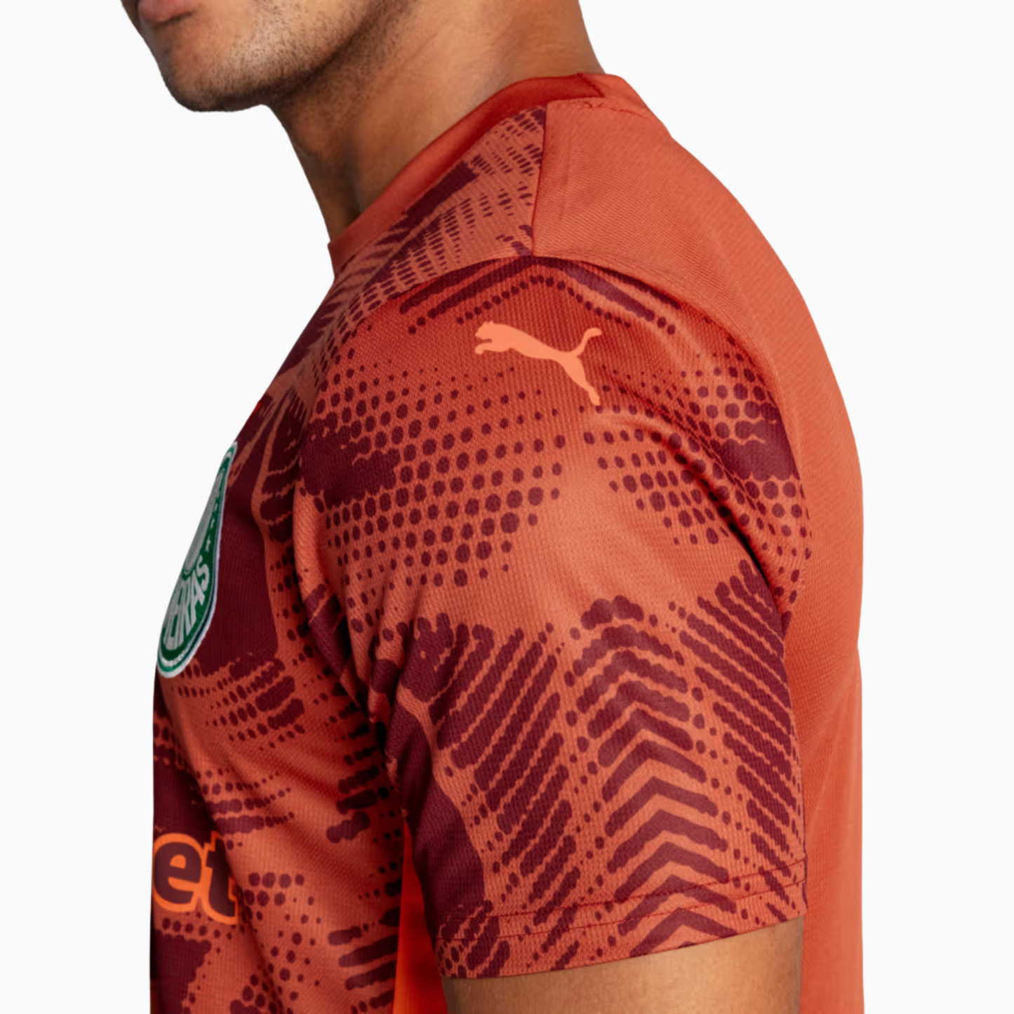 Camisa Goleiro Masculina Palmeiras II 2025/2026
