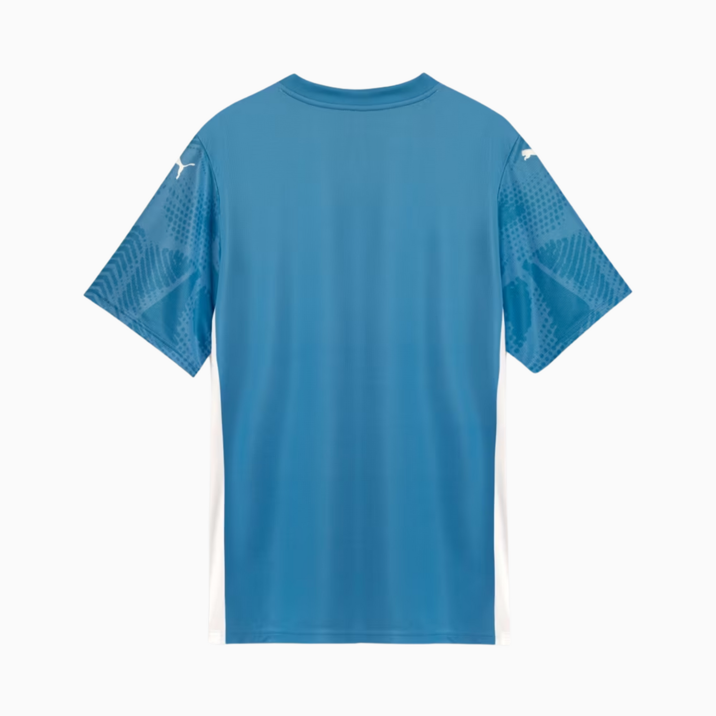 Camisa Goleiro Masculina Palmeiras I 2025/2026