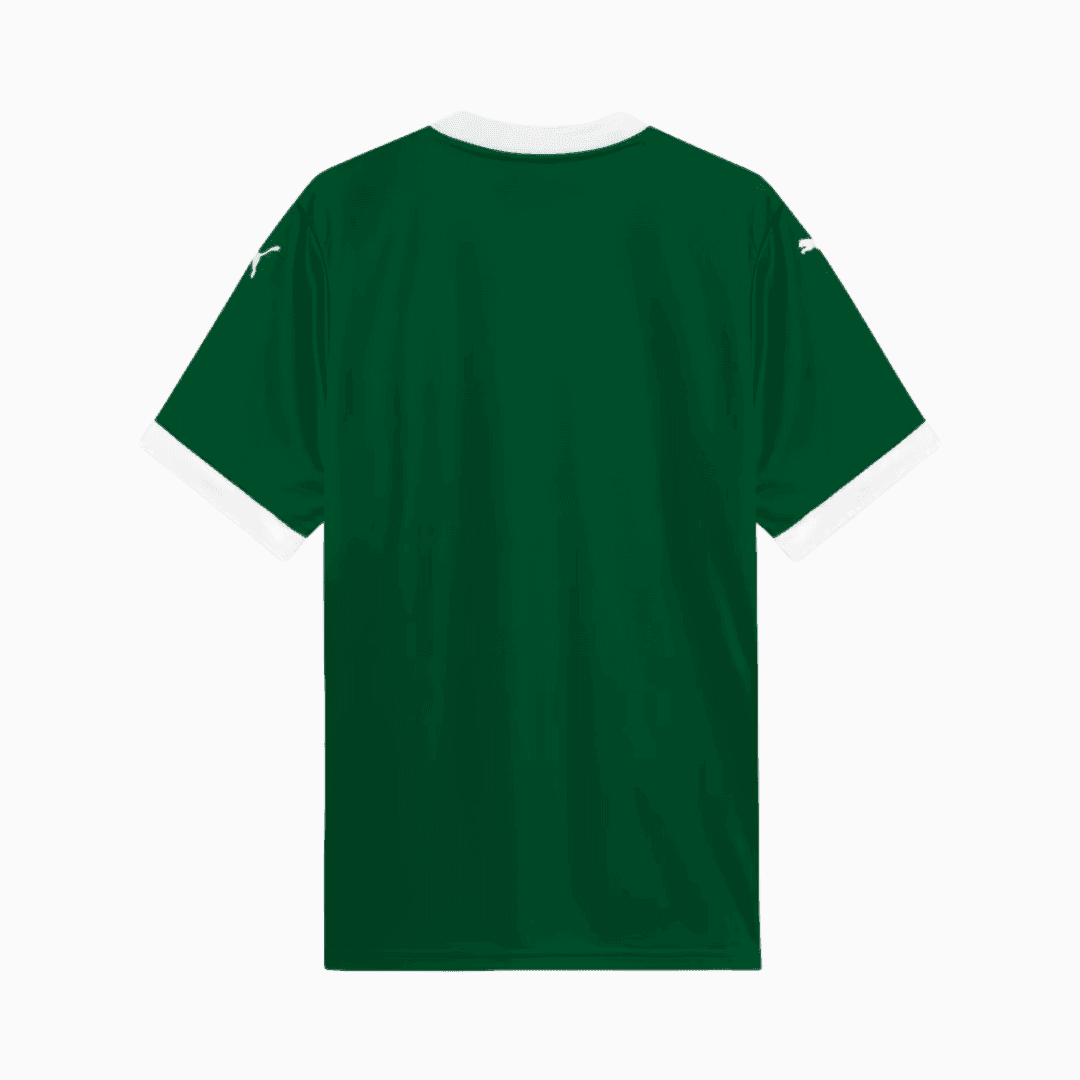 Camisa Torcedor Masculina Palmeiras I 2025/2026