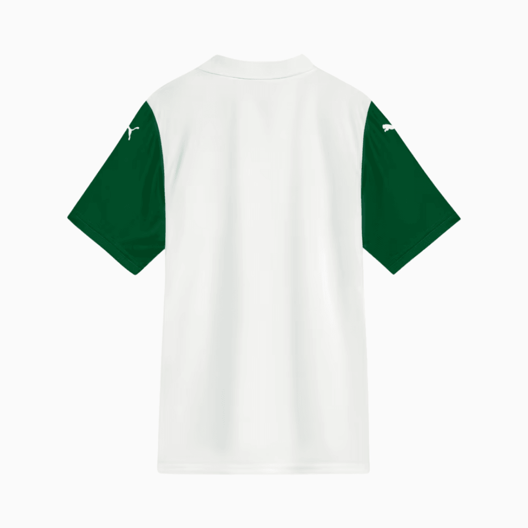 Camisa Torcedor Masculina Palmeiras II 2025/2026