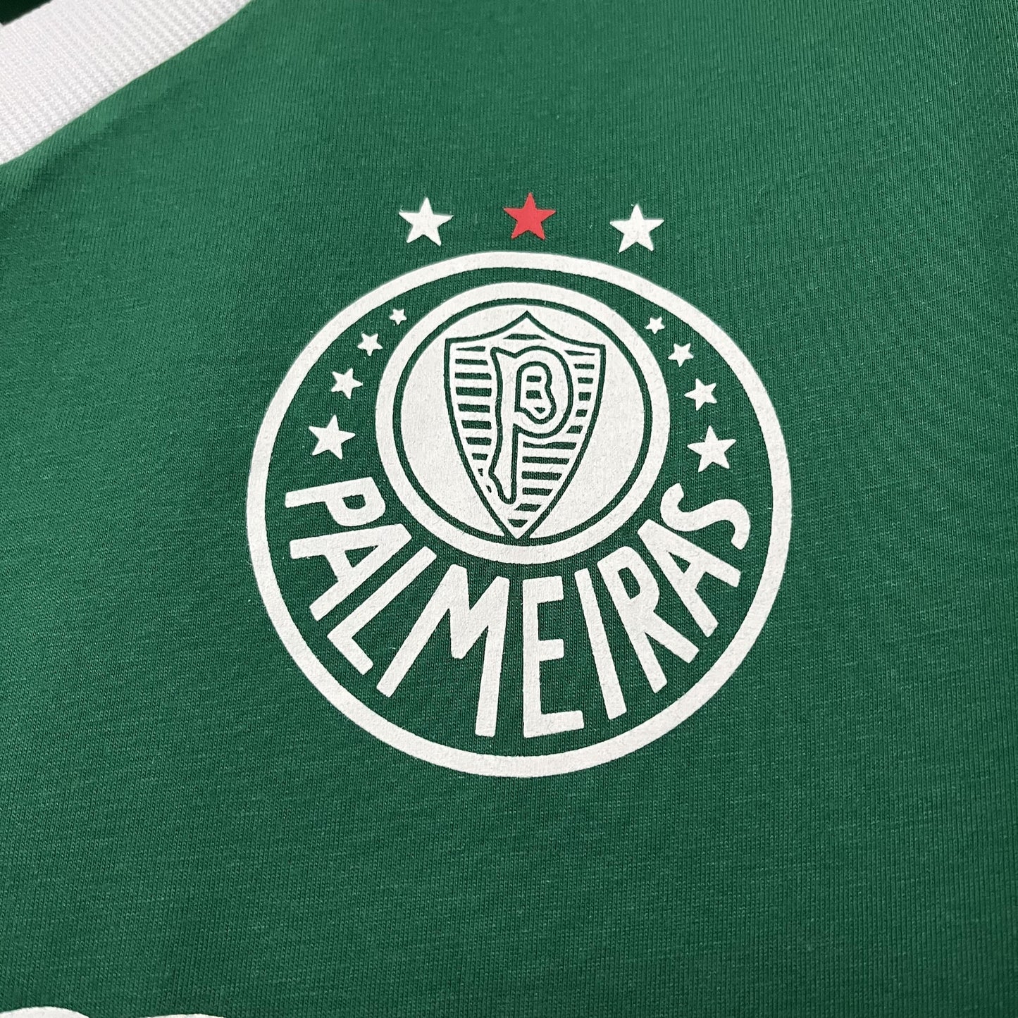 Camisa Retrô Torcedor Masculina Palmeiras 1989