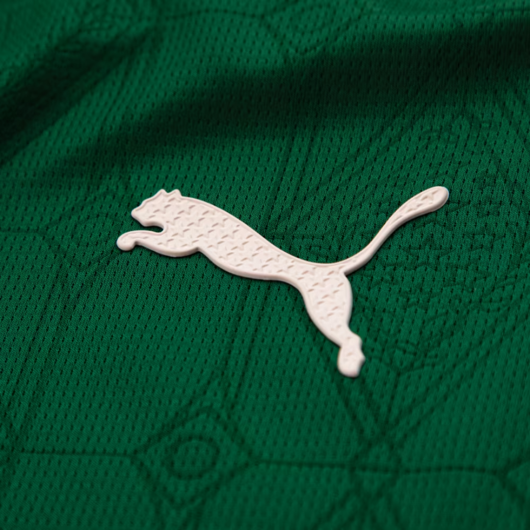 Camisa Jogador Masculina Palmeiras I 2025/2026