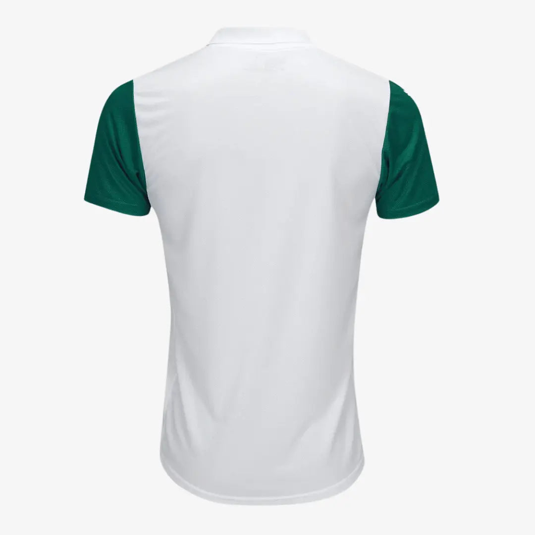 Camisa Jogador Masculina Palmeiras II 2025/2026