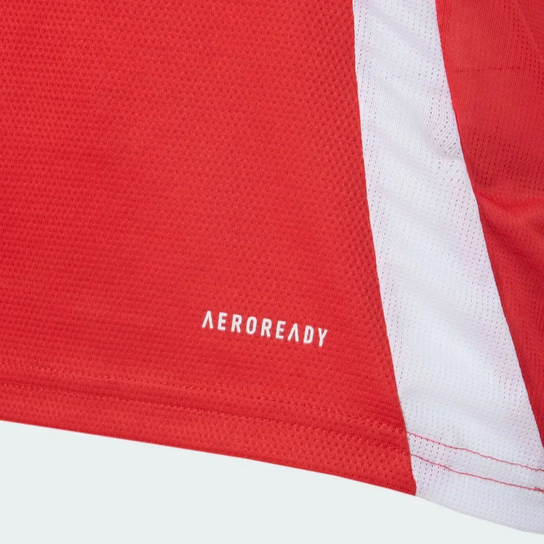 Camisa Torcedor Masculina Internacional I 2025/2026