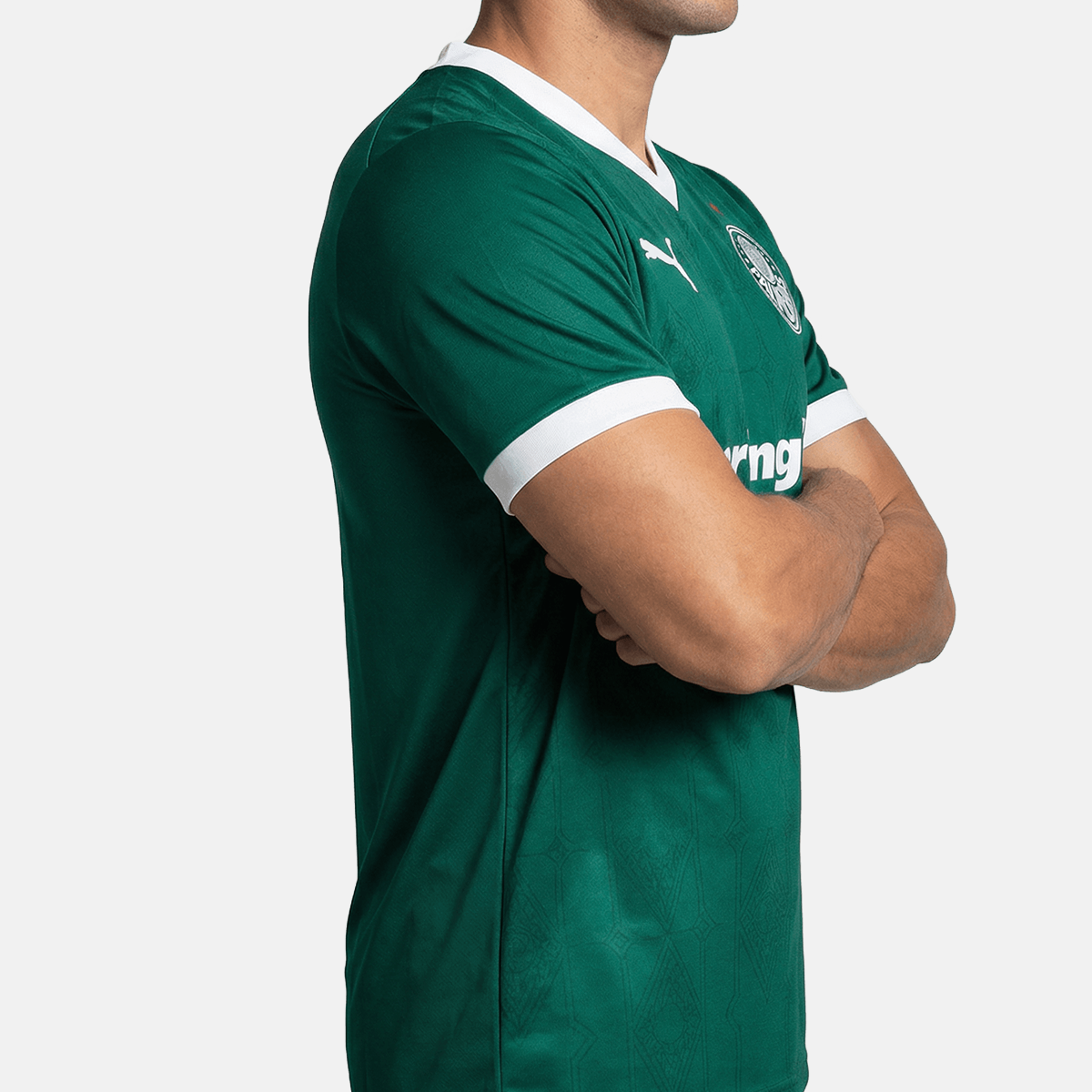 Camisa Jogador Masculina Palmeiras I 2025/2026