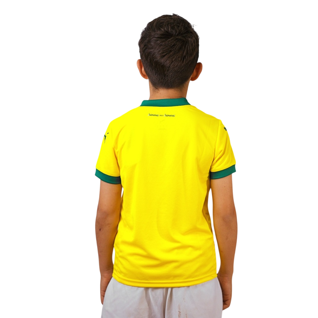 Conjunto Infantil Palmeiras III 2025/26