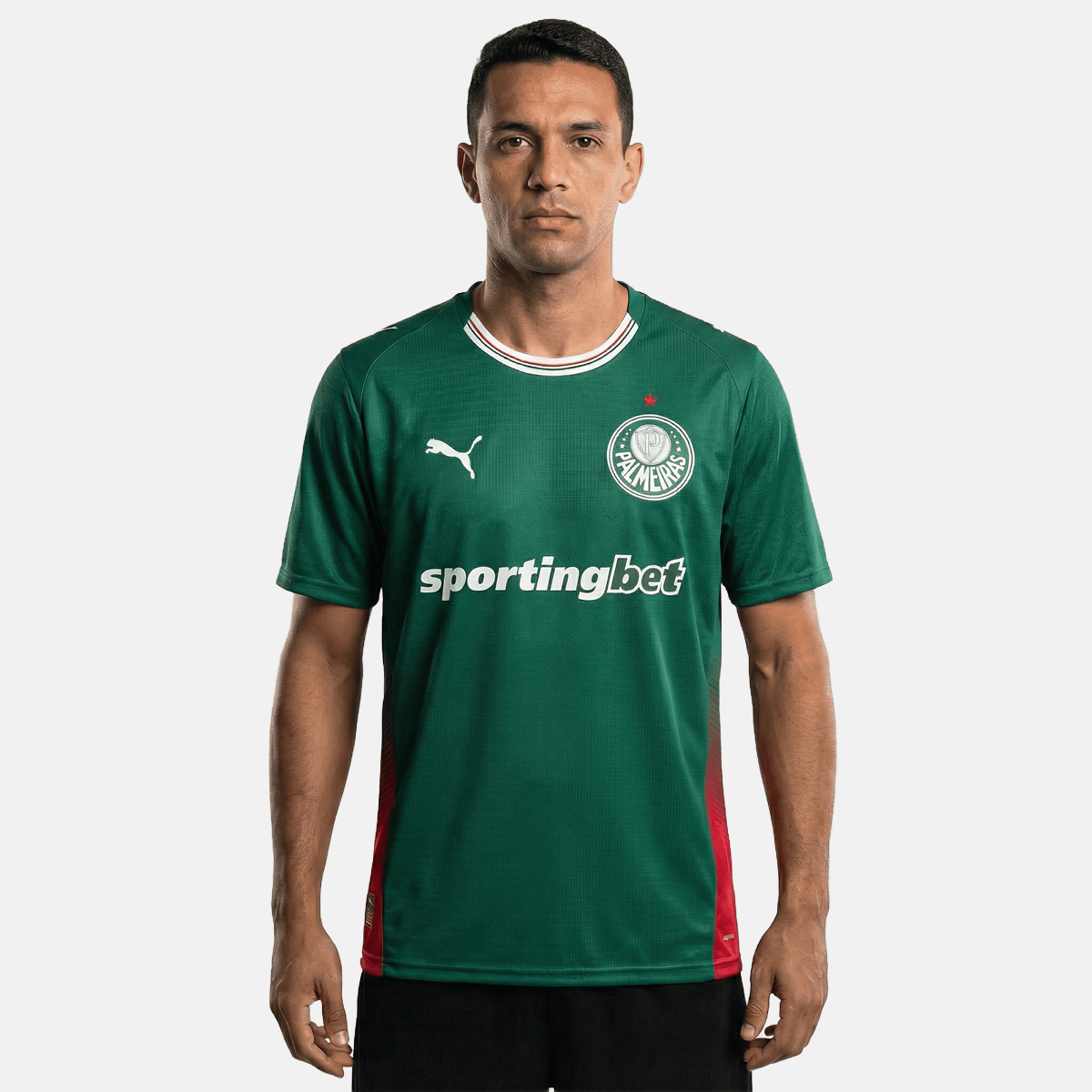 Camisa Palmeiras 2026/27 Home Torcedor Todos os patrocínios