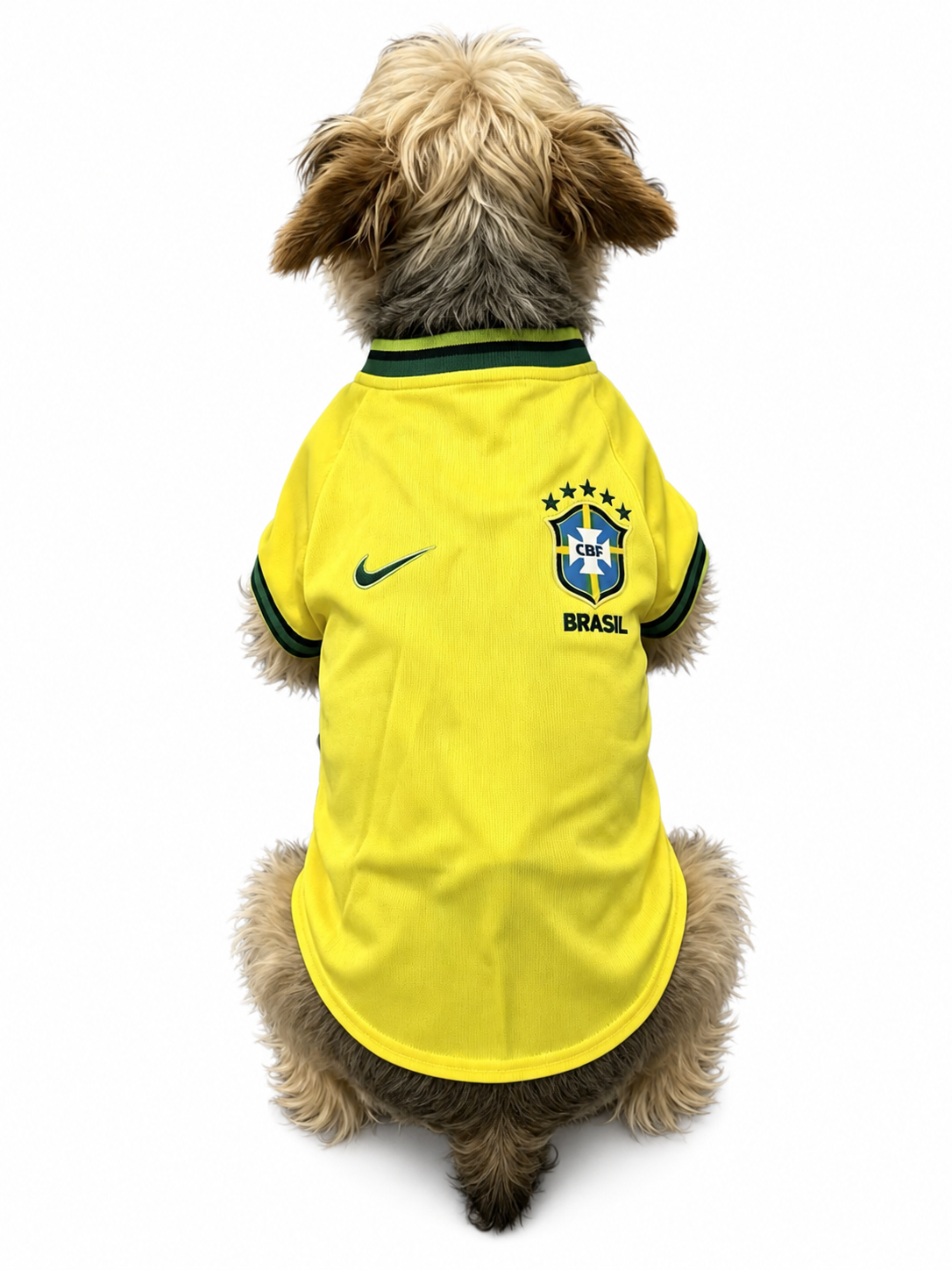 Camisa Pet Brasil Home 26/27 - Torcedor Masculina