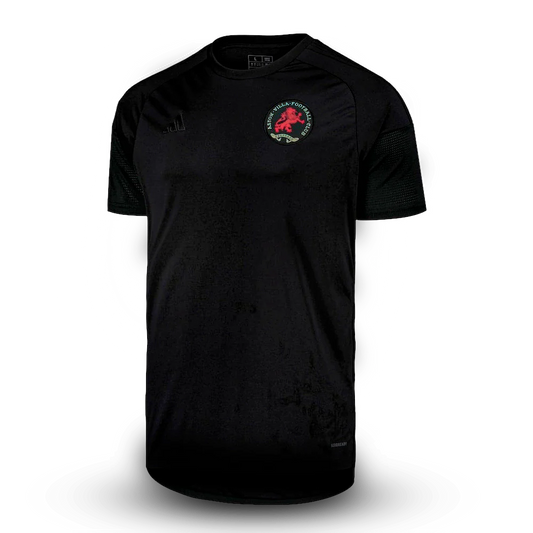 Camisa Aston Villa Edição Especial 50 Anos 25/26 - Torcedor Masculina Lançamento