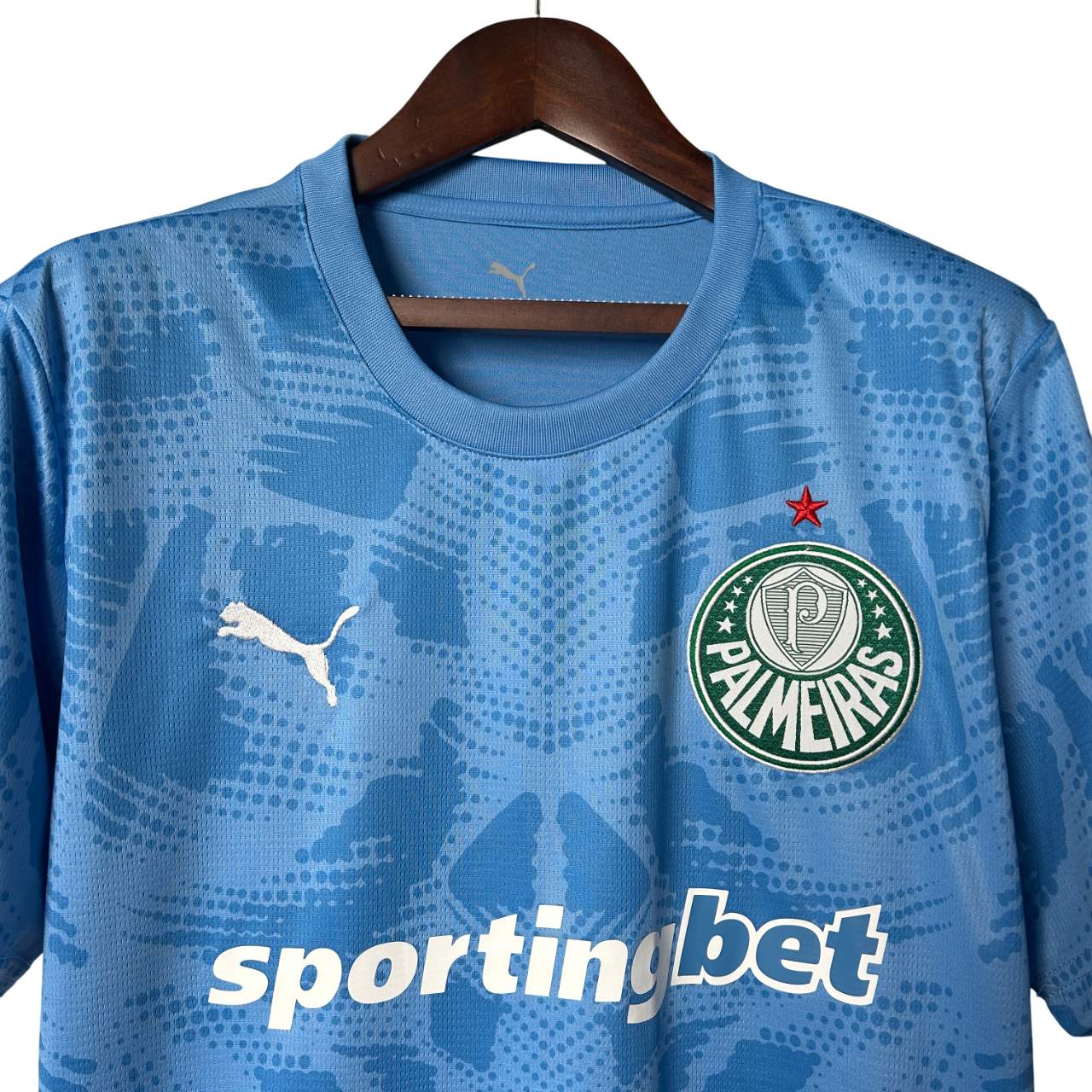 Camisa Palmeiras Goleiro 25/26 - Torcedor Masculino - Azul