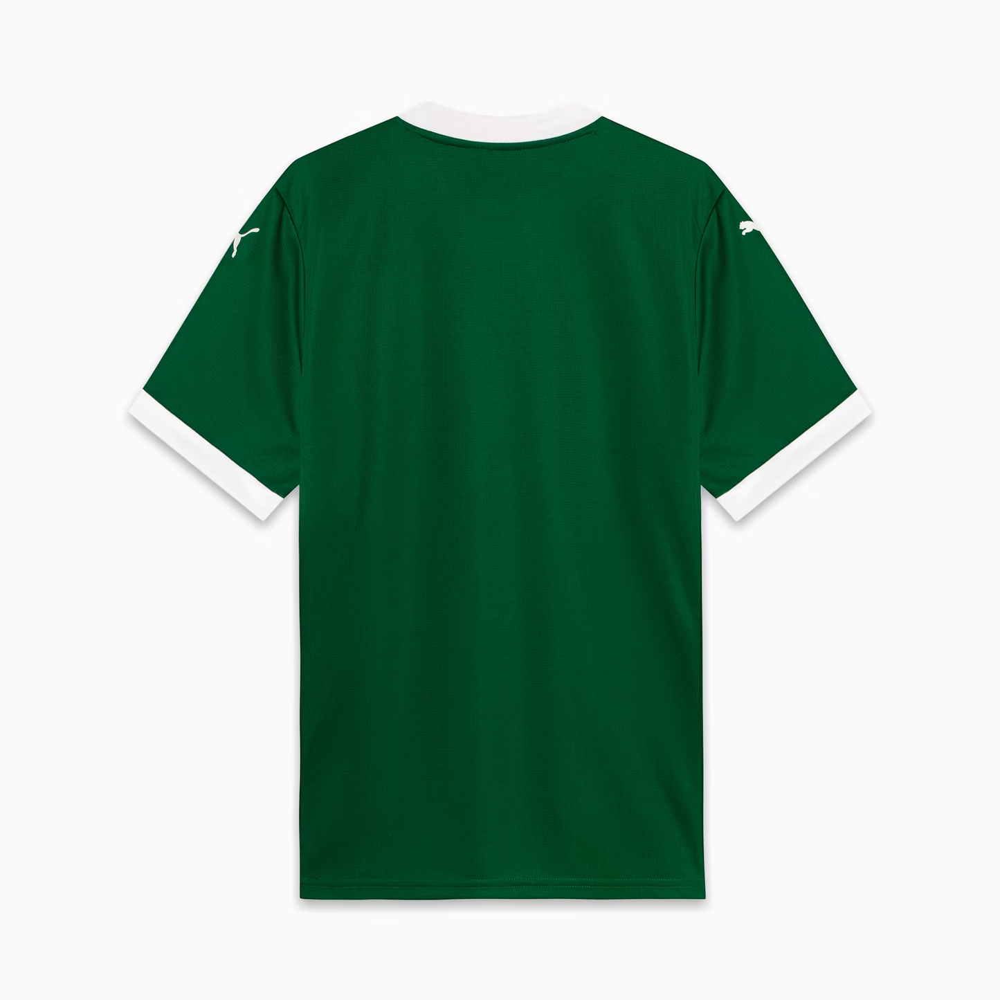 Camisa Palmeiras Home 25/26 - Torcedor Masculina