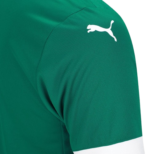 Camisa Palmeiras Home 25/26 - Torcedor Masculina