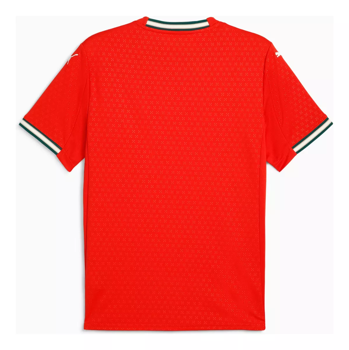 Camisa Portugal Home 25/26 - Versão Torcedor Masculina
