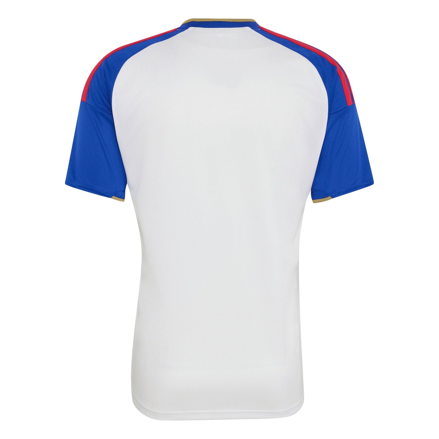 Camisa Torcedor Masculina Lyon I 2026/2027